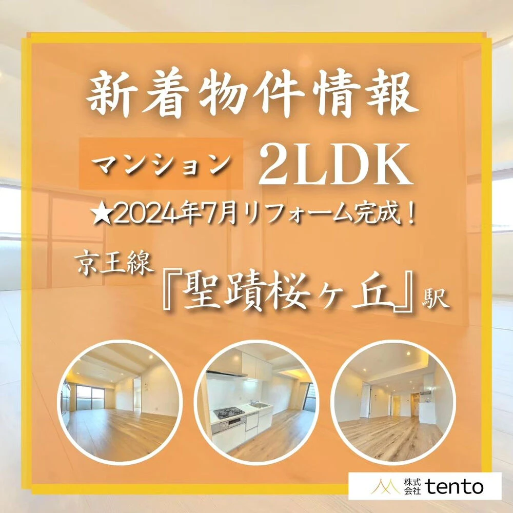 画像3133