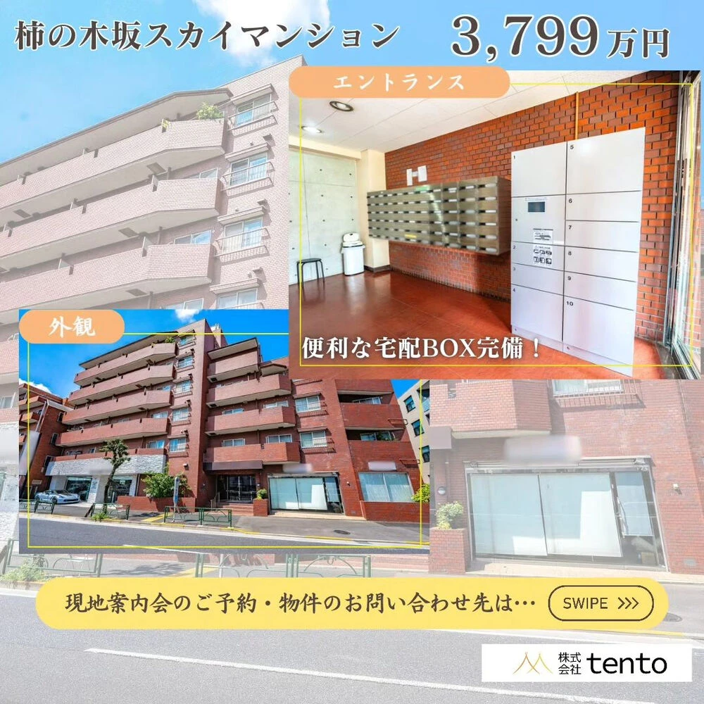 画像3151