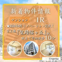 画像3166
