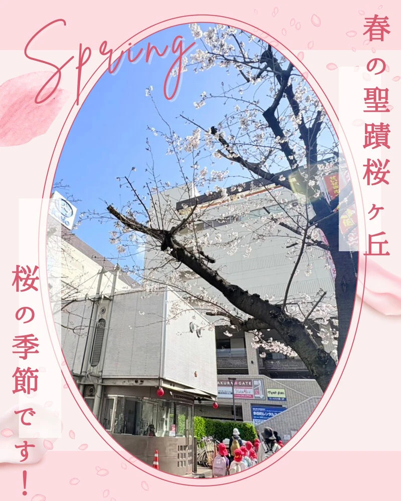 画像7283
