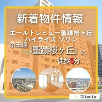 画像7337