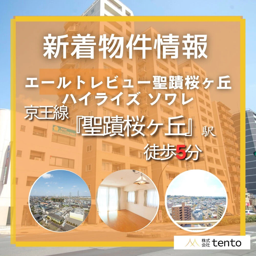 画像7337